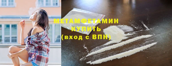 гидра Ельня