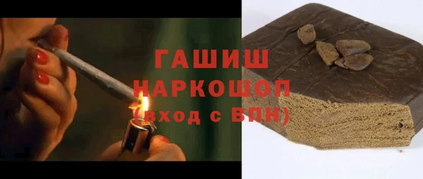 гидра Ельня