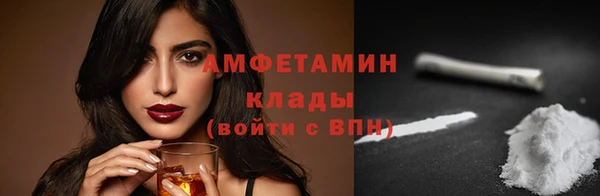 гидра Ельня