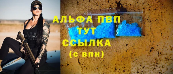 гидра Ельня