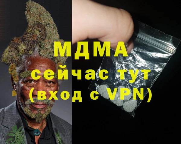 гидра Ельня