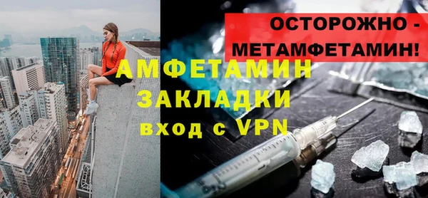 гидра Ельня