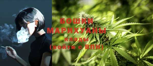 эйфоретик Елизово