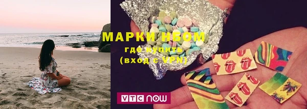 гидра Ельня
