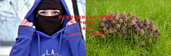 ГАЛЛЮЦИНОГЕННЫЕ ГРИБЫ Заволжск