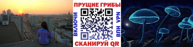 Псилоцибиновые грибы прущие грибы Купить где Яблоновский